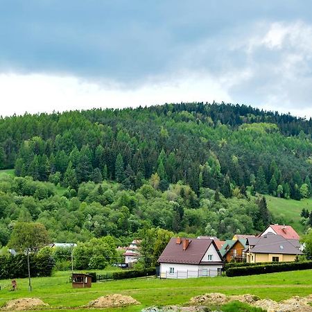 Apartament Pod Łanem Tylicz Zewnętrze zdjęcie